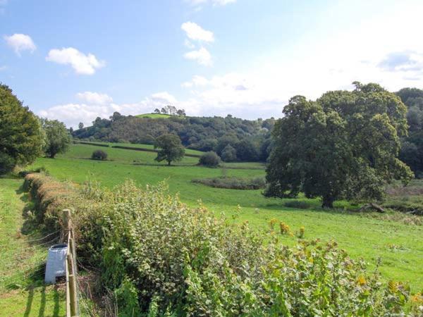 Ffynnonlwyd Cottage Llangynin Екстериор снимка